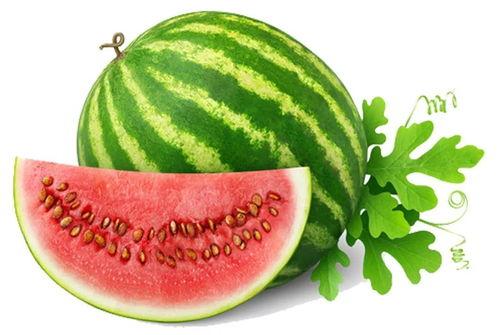 吃瓜网官网首页,揭秘娱乐圈最新动态,带你畅游八卦海洋