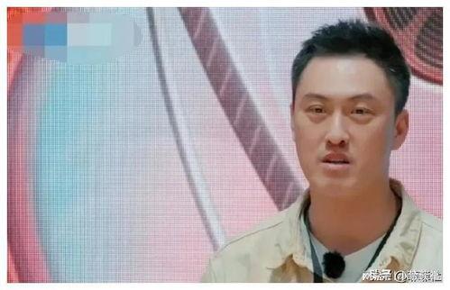 娱乐圈吃瓜爆料的小说,幕后真相,瓜田乱舞